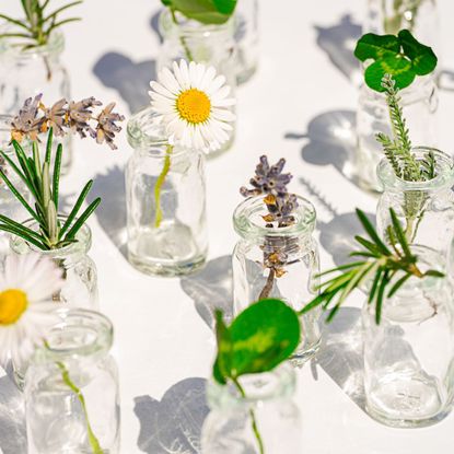 a close up of small clear bottles with flowers and herbs inside them - natural beauty