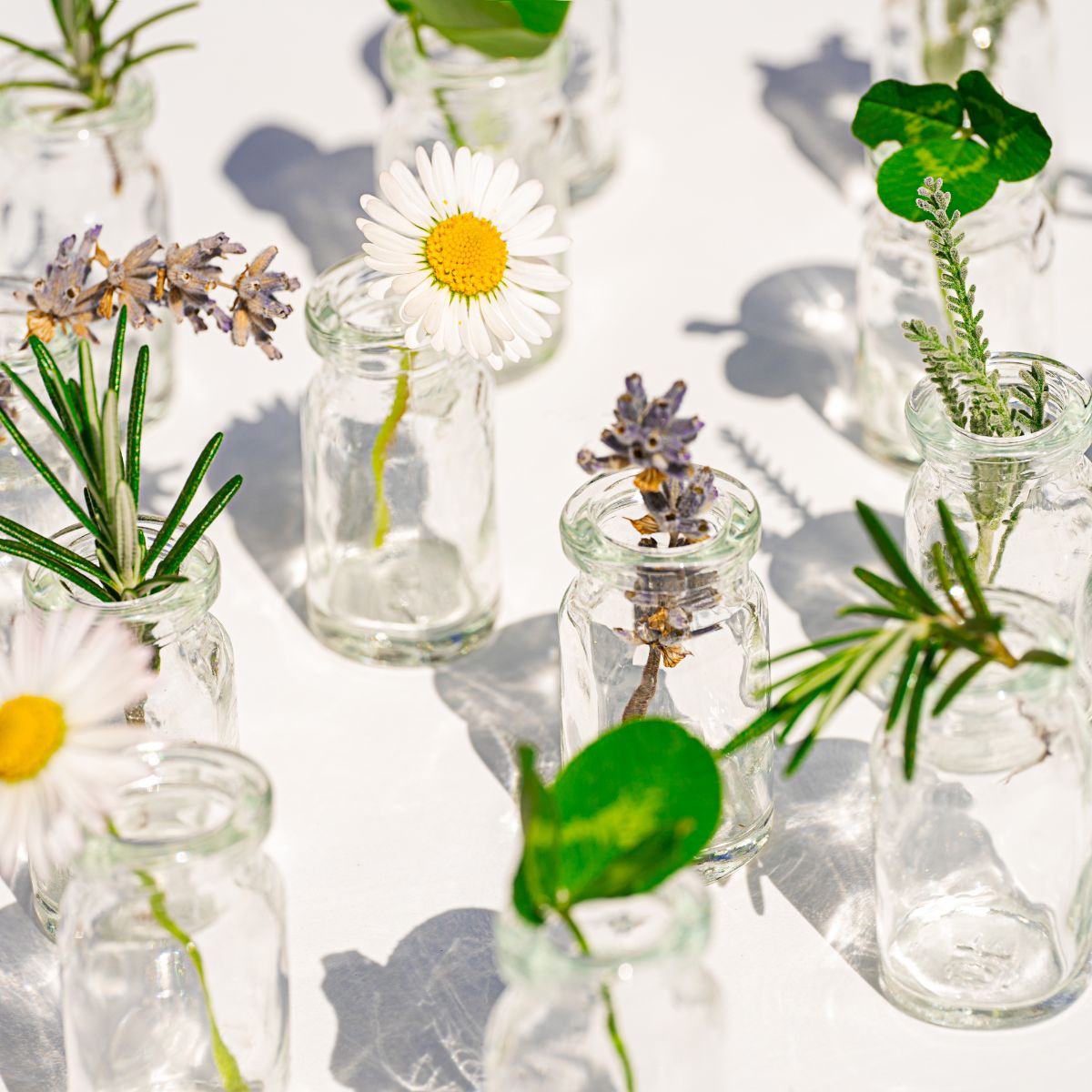 a close up of small clear bottles with flowers and herbs inside them - natural beauty