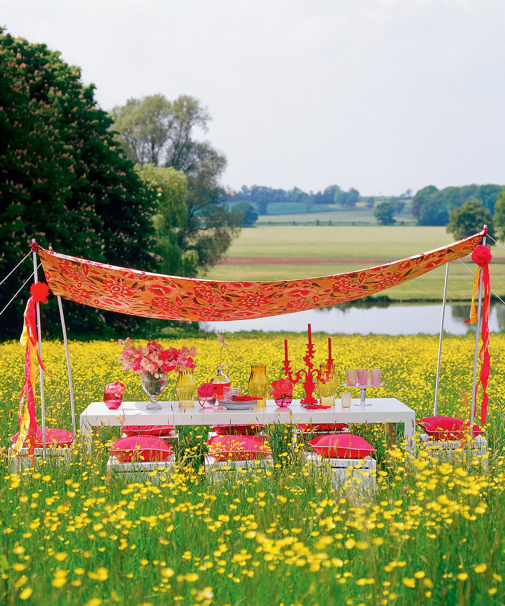 Flower of the Month, Field with meadow buttercups