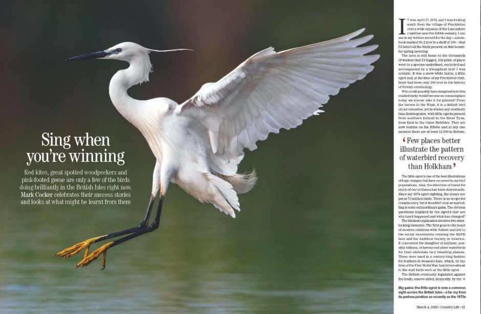 Magazine spread from Country Life 4 March 2026