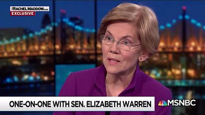 Elizabeth Warren on Maddow