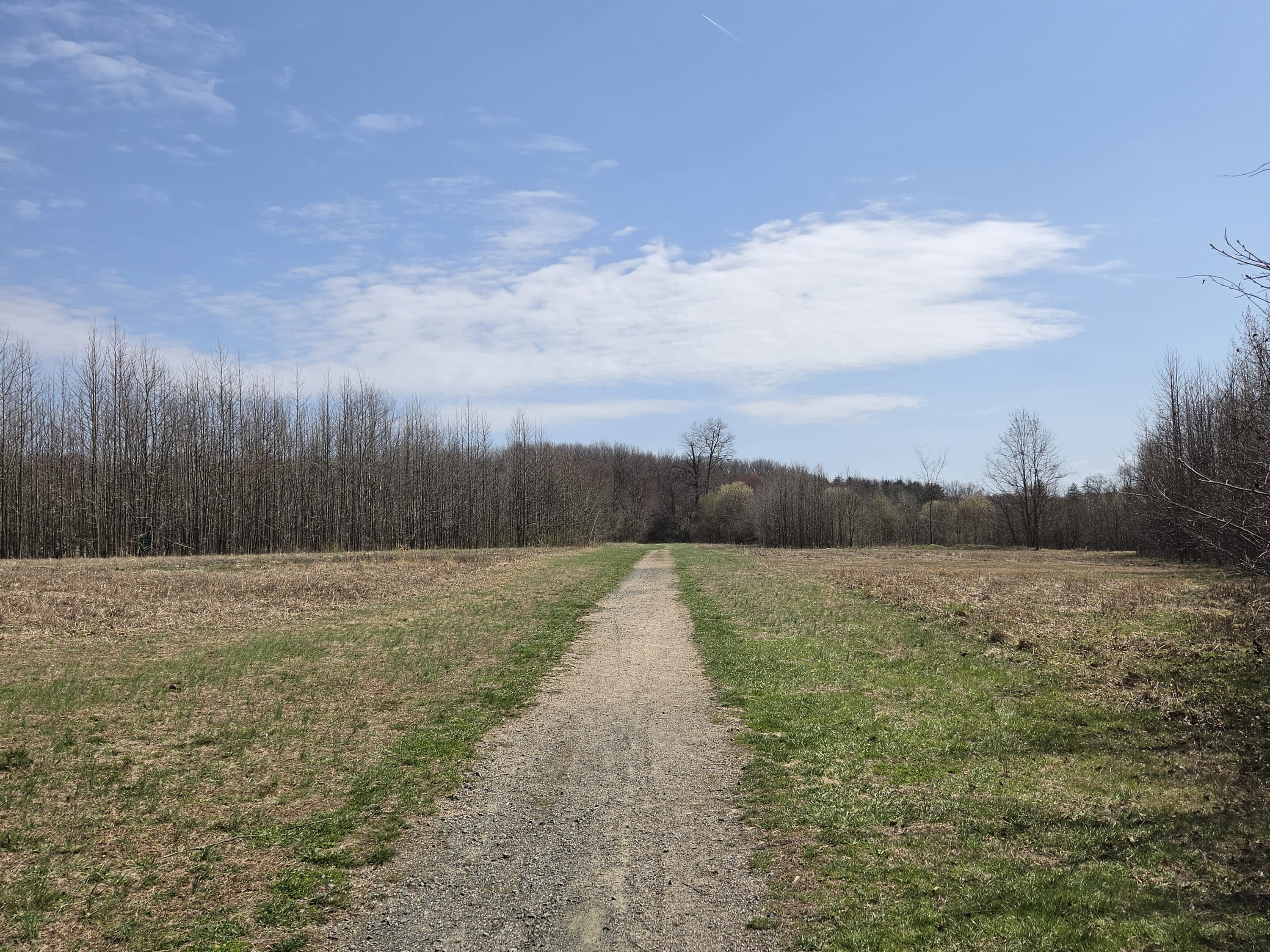 Samsung Galaxy S26 Plus Review Camera Samples