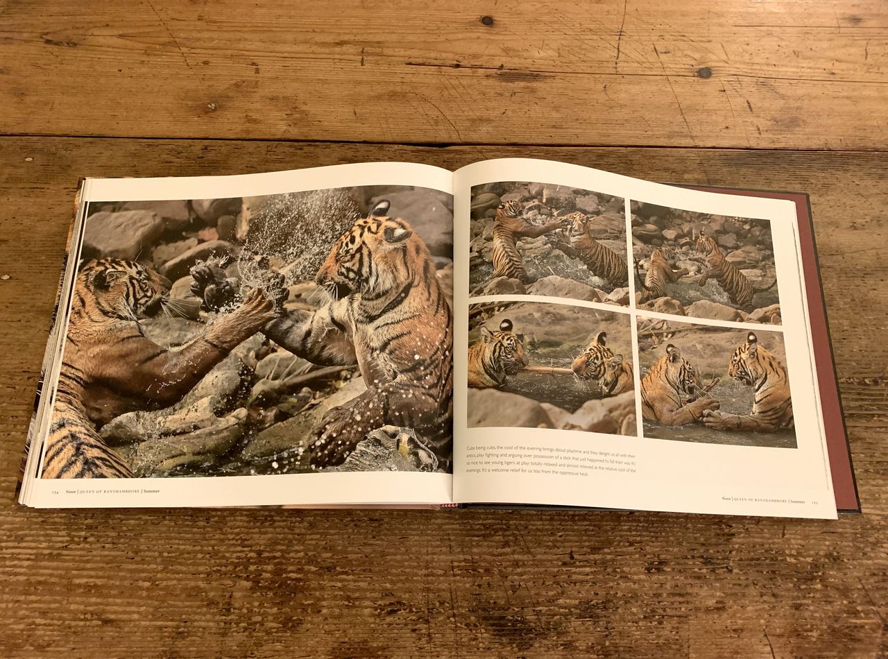Photograph of pages 134-135 of Noor Queen of Ranthambhore by Andy Rouse