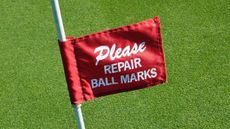 Repair all pitchmarks