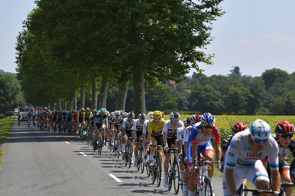 The peloton in action during stage 18 at the Tour de France