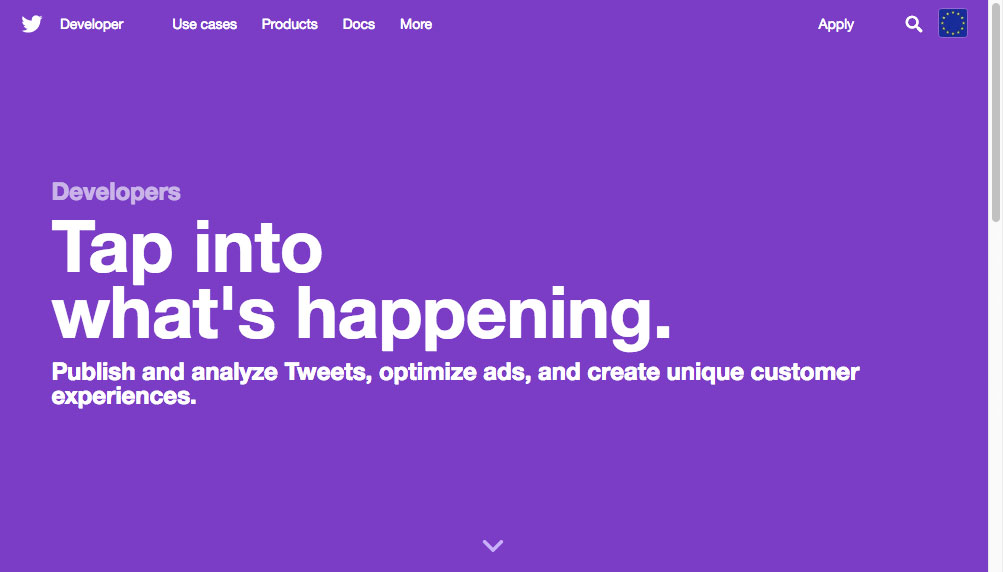 Twitter developer homepage