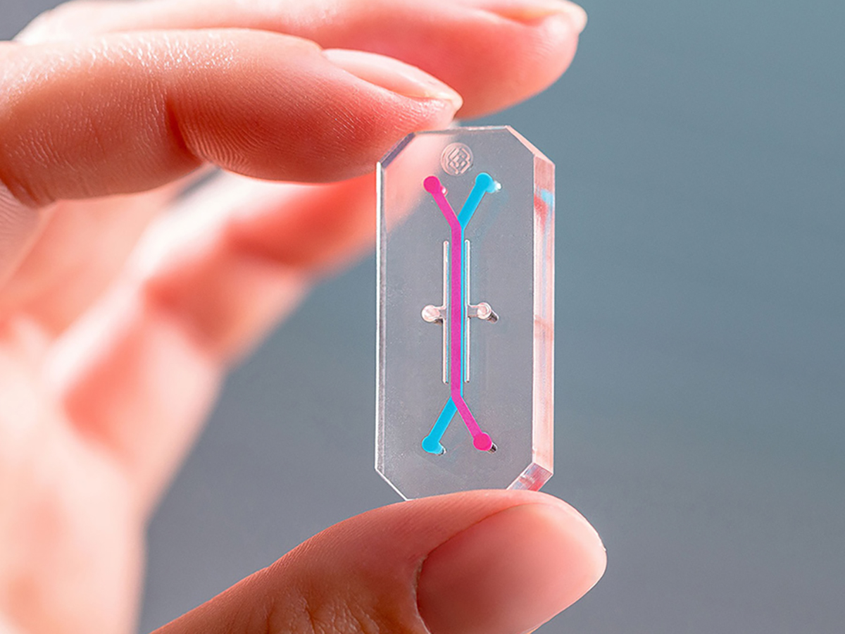 organ chip, chip, emulate inc