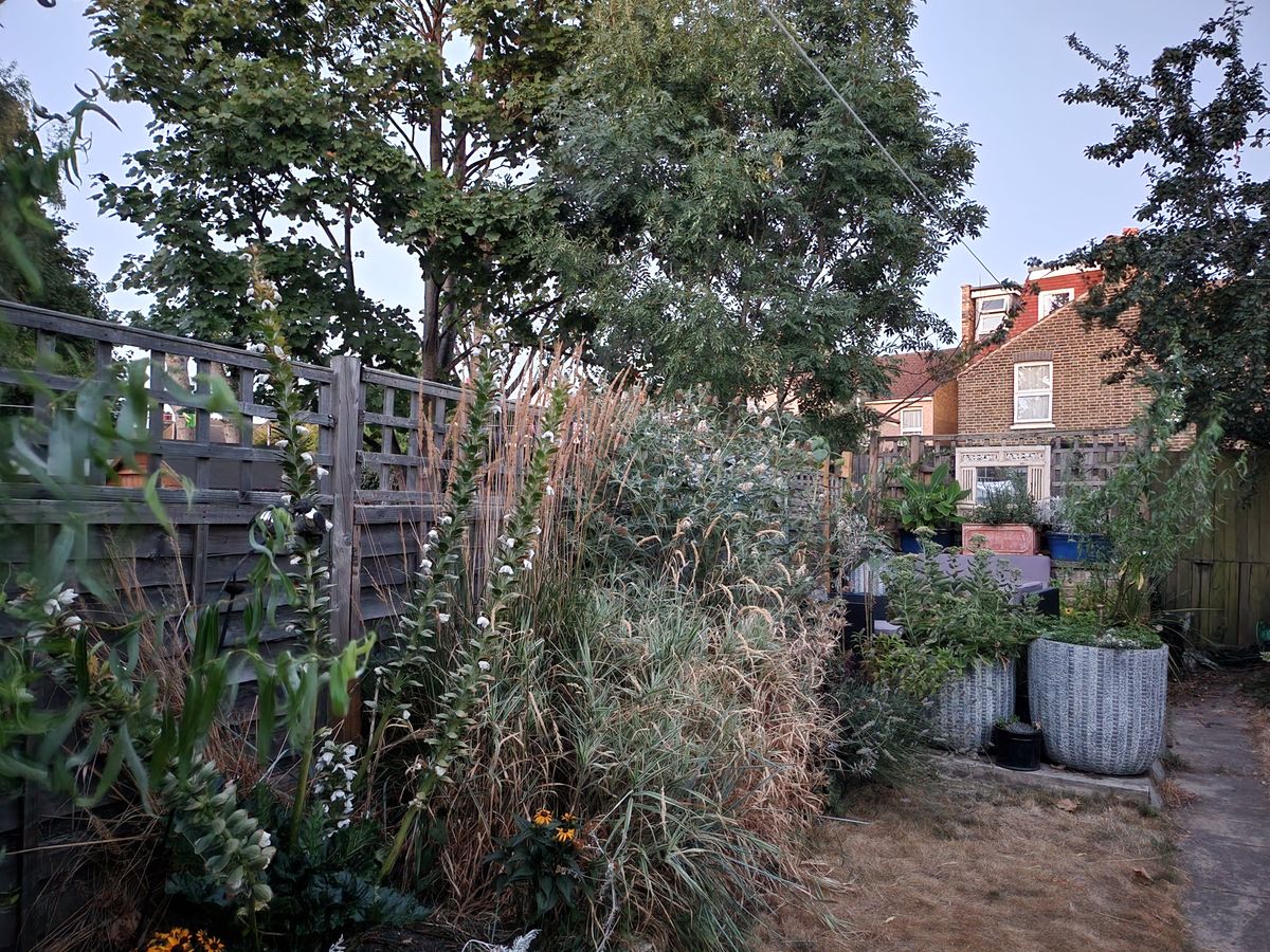 Samsung Galaxy Z Flip 4 camera sample low light garden main