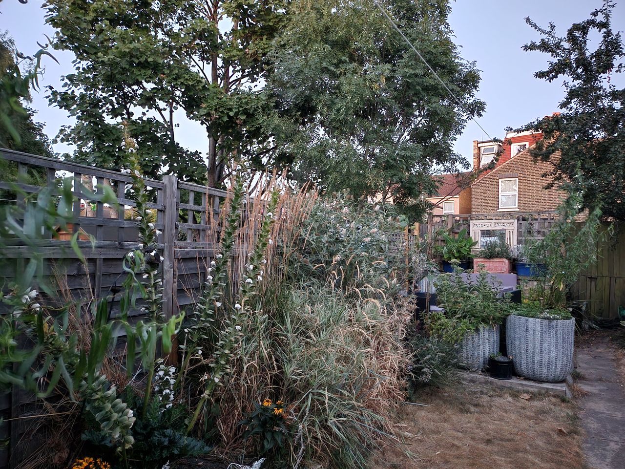 Samsung Galaxy Z Flip 4 camera sample low light garden main