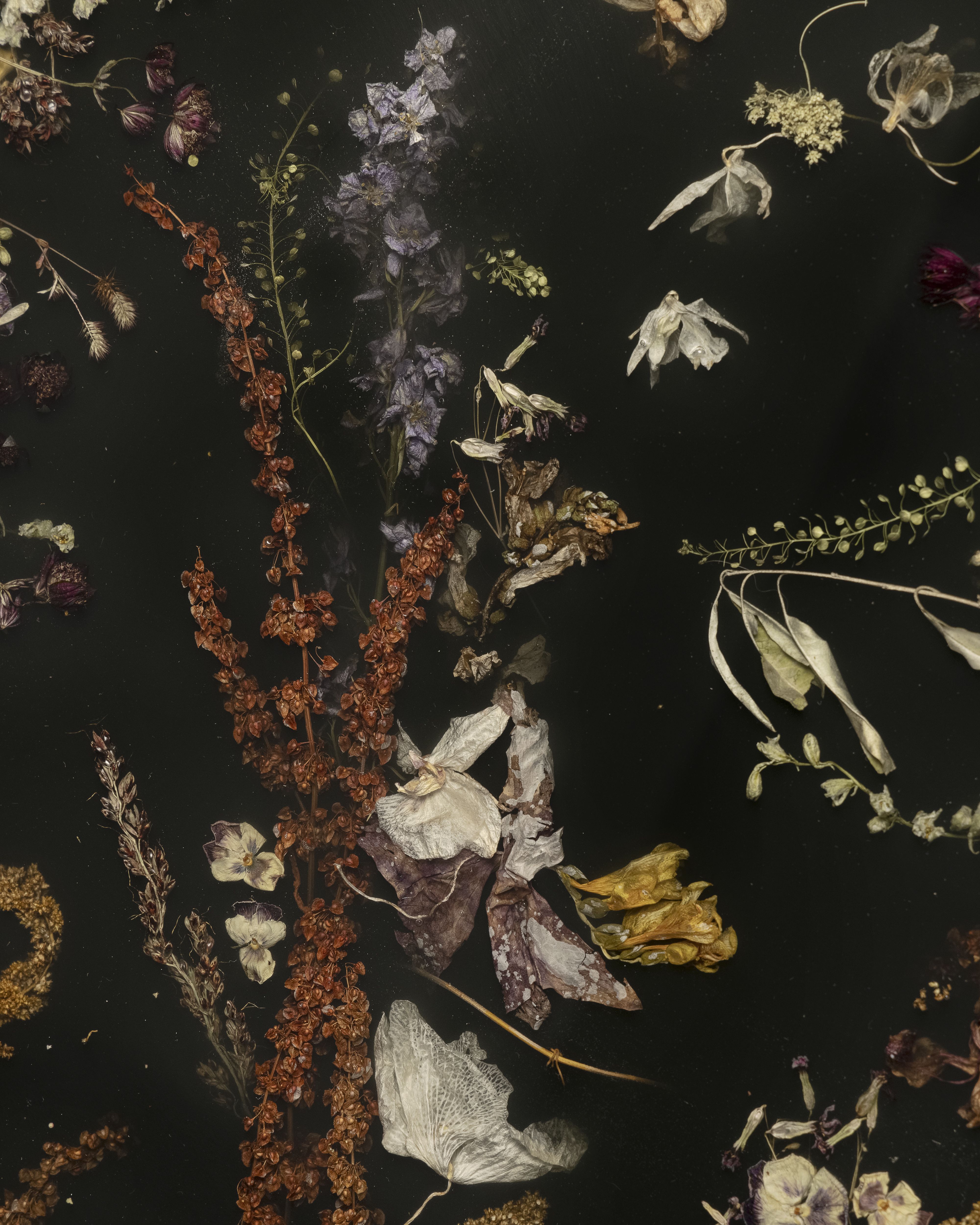 Furniture, lamps, and accessories featuring a resin body and encapsulated, frozen-in-time florals, petals, and vegetation in them, showcased in a brightly lit gallery setting.