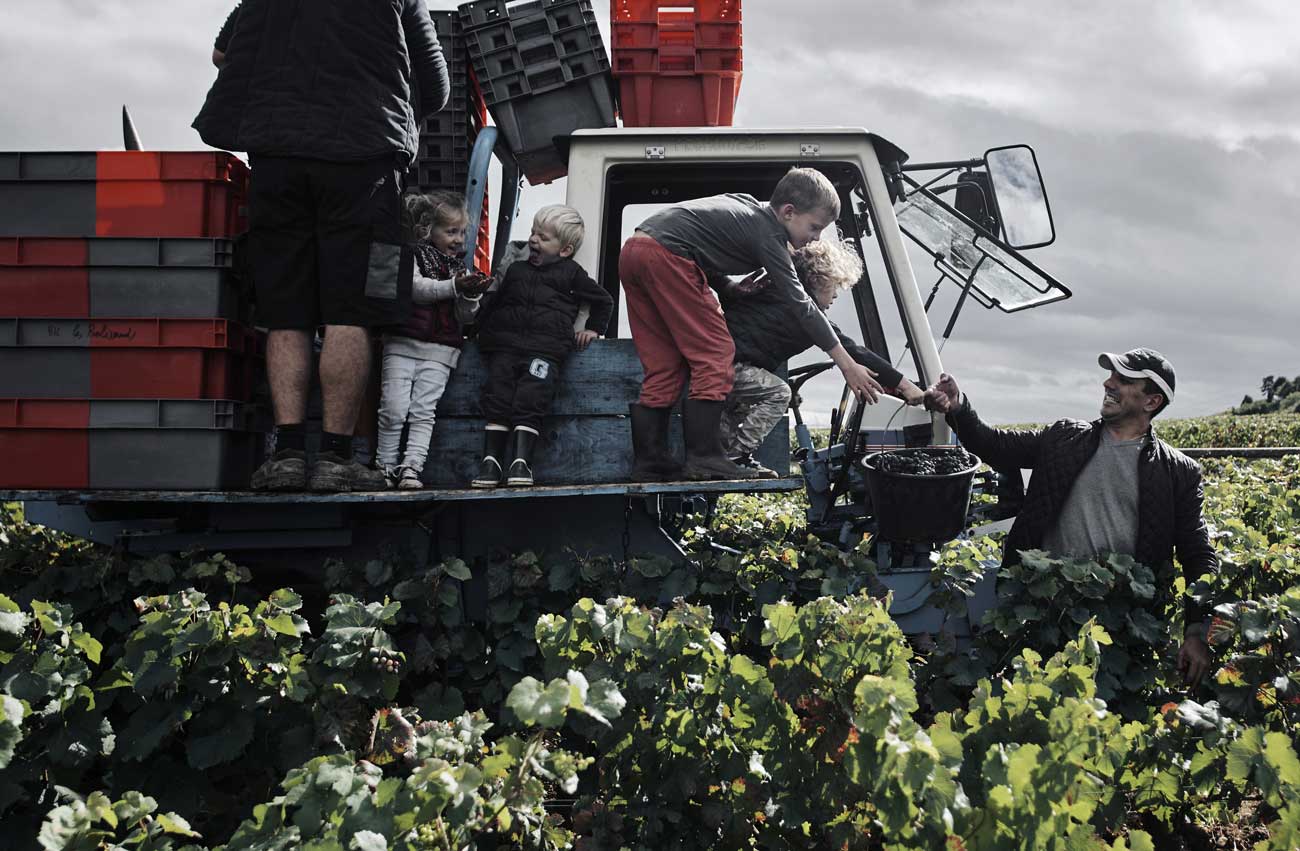 Jonathan Thevenet's photograph of family at harvest, winner of 'People' category in Errazuriz Wine Photographer of the Year 2024