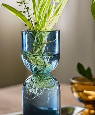 IKEA DAKSJUS plant vase