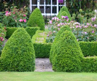 Symetrical design, parterre