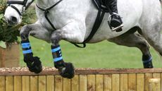 geneventinglegs.jpg