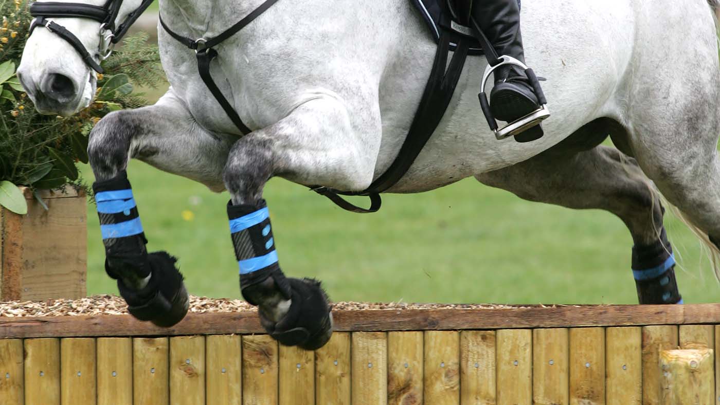 geneventinglegs.jpg