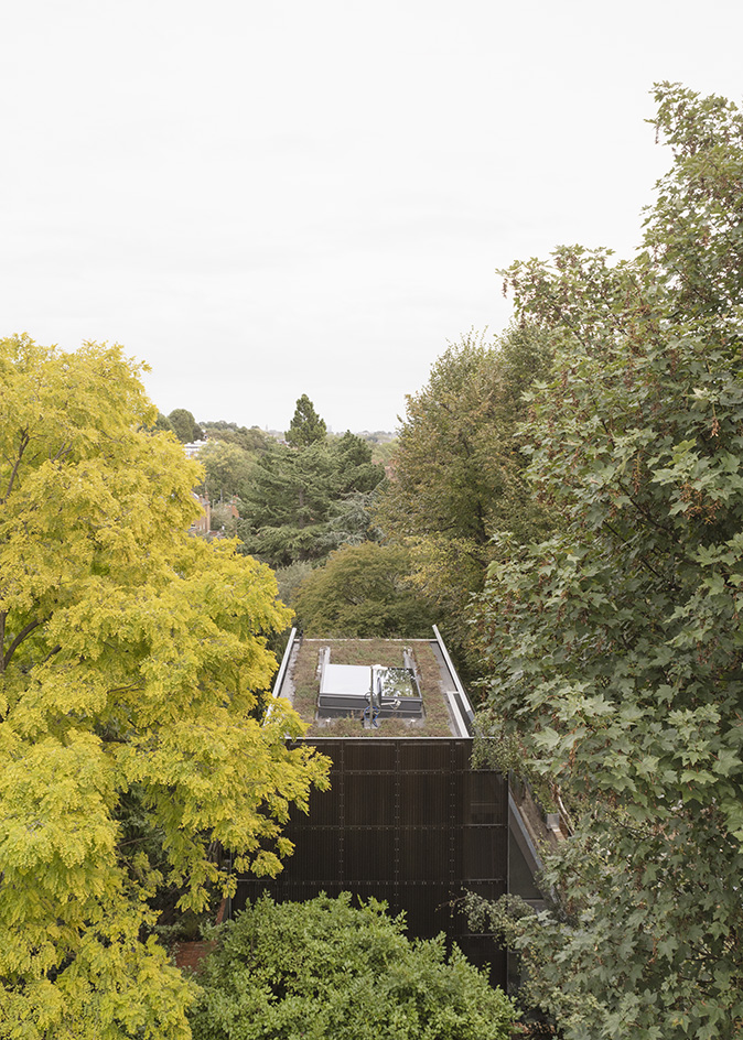 aerial of Reciprical House by GianniBotsfordArchitects among trees