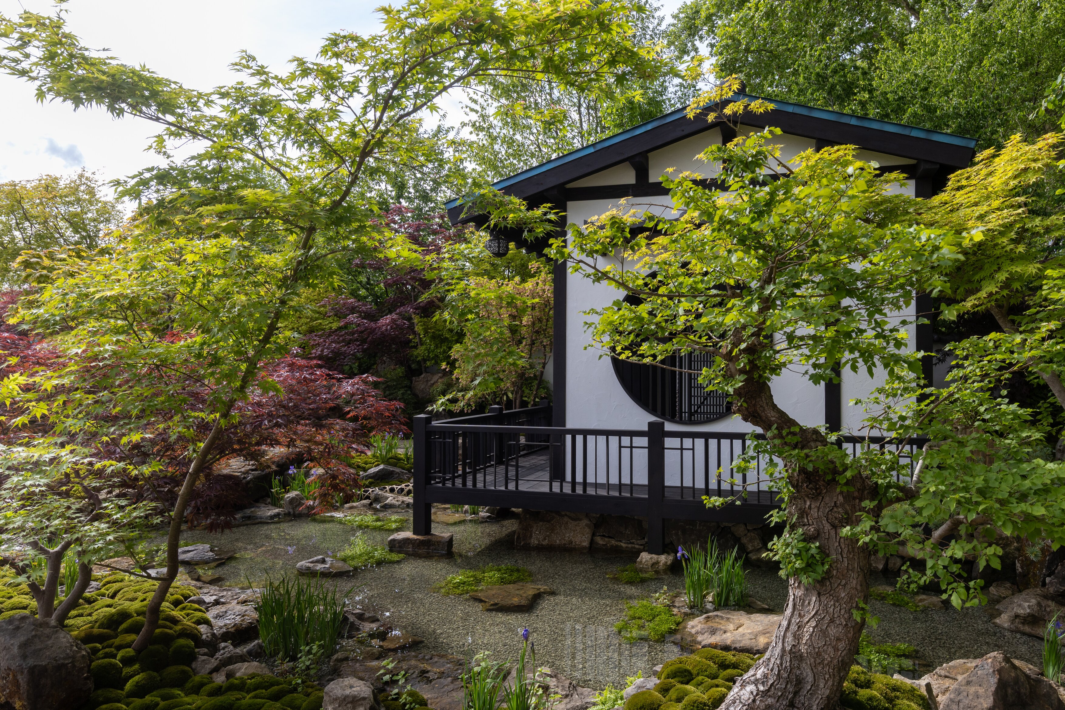 Details of the Tokonoma Garden &amp;ndash; Sanumaya no Niwa, a nostalgic garden scene in a japanese style. IE lots of moss and bonsai and stones