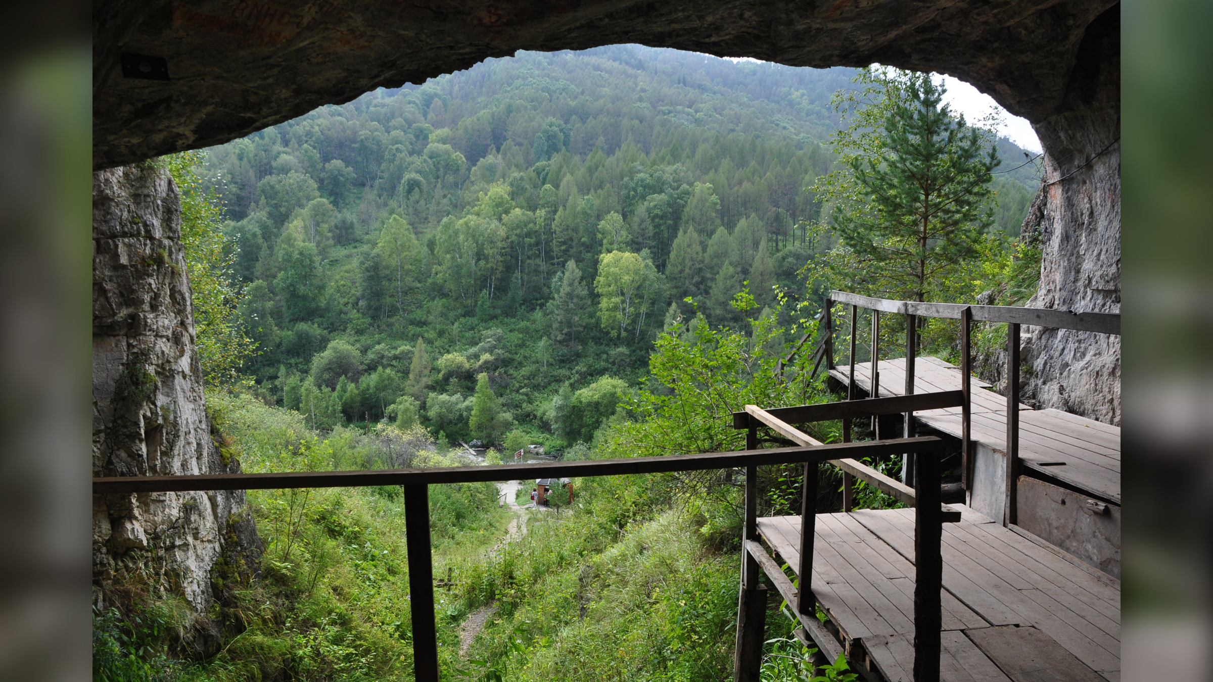 Una vista desde el interior de la cueva Denisova en las montañas de Altai en Rusia.  Observe cómo la vegetación y el clima son diferentes aquí en comparación con Laos.