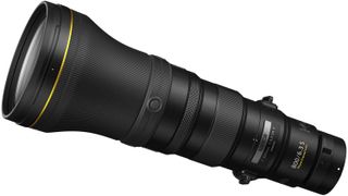 Best lenses for bird photography - Nikon Z 800mm f/6.3 VR S