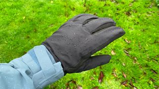 Sealskinz Griston waterproof gloves