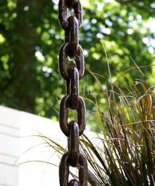 heavy rain chain with water displaying surface tension