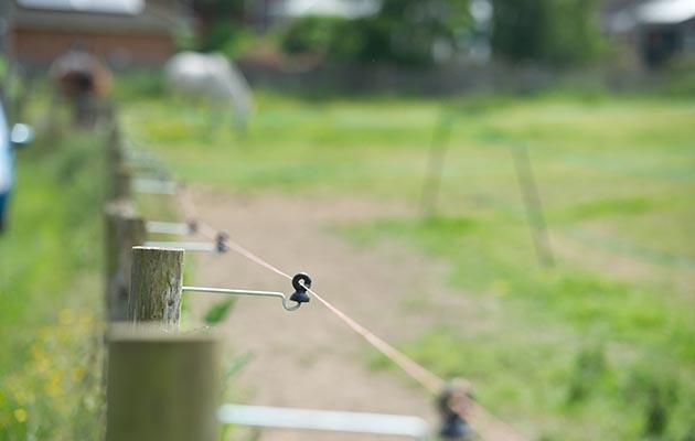 DSC2589-4.jpg