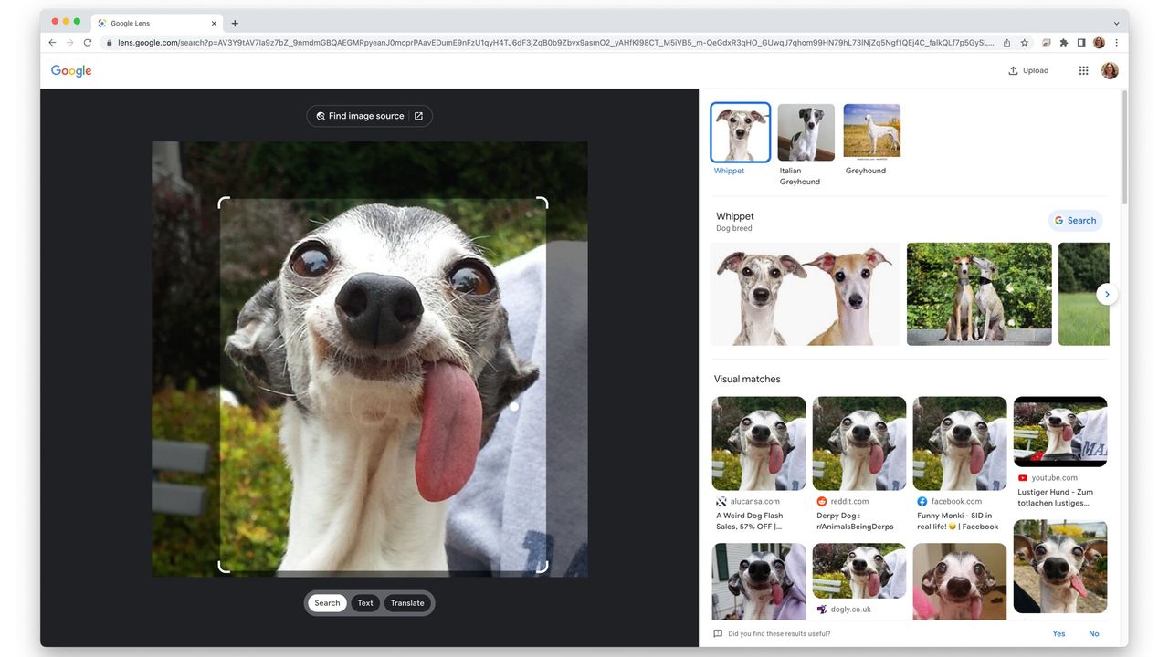 How to reverse image search and find out more about pictures