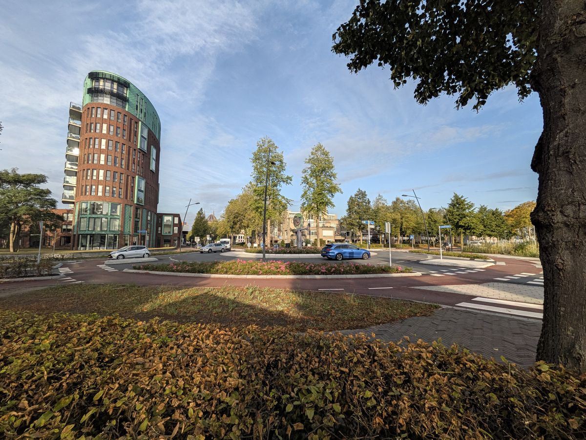 Google Pixel 11 voorbeeldfoto