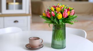 Mixed colored tulips in a tall glass vase on a coffee table