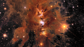 A blobby and hazy reddish orange structure in space. Lots of sparkling stars are scattered throughout the image.