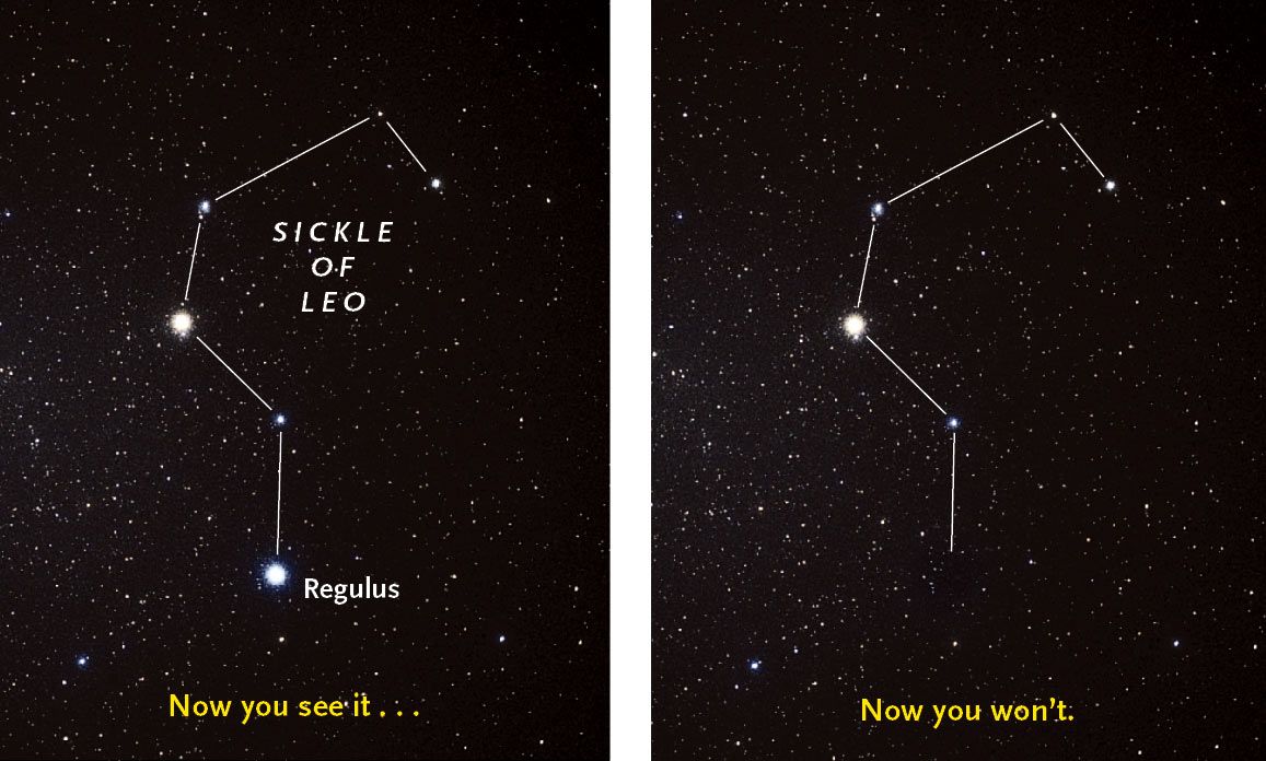 regulus star
