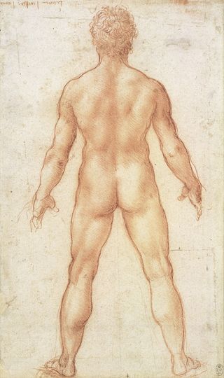 A drawing of a nude man by Leonardo da vinci