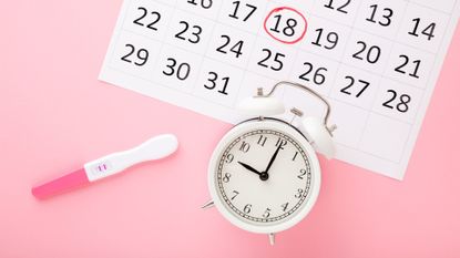 Ovulation calculator, clock, and pregnancy test