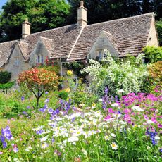 cottagecore flowers and plants with country home