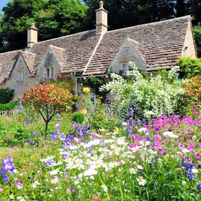 cottagecore flowers and plants with country home