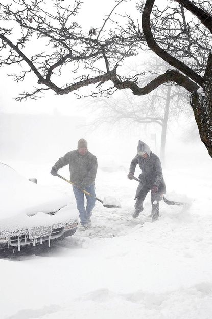 america snow garticle