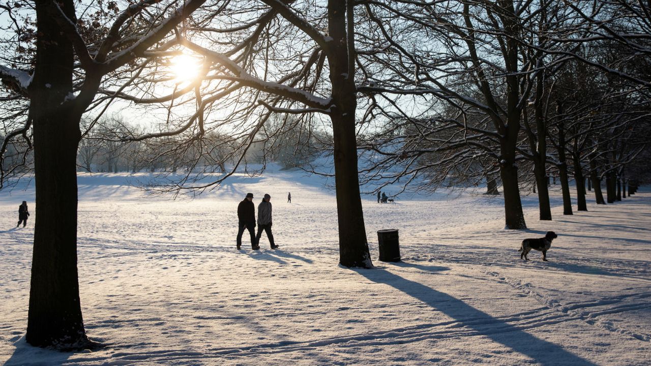 Winter walks in London 