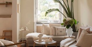 off white living room with large plant in front of a window