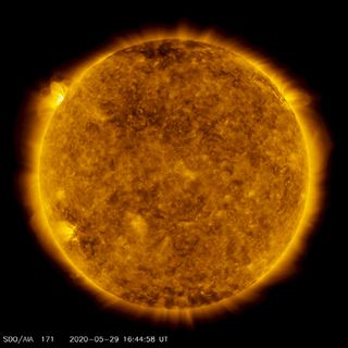 On the upper left side of this image from May 29, 2020, from NASA's Solar Dynamics Observatory — shown here in the 171-angstrom wavelength, which is typically colorized in gold — one can see a spot of light hovering above the left horizon. This light emanates from solar material tracing out magnetic field lines that are hovering over a set of sunspots about to rotate over the left limb of the sun.