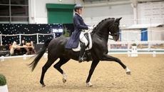 Aintree High Profile Dressage show: Dylan Deutrom riding Sunlit Uplands