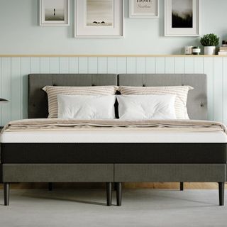 A mattress on a bed in a green bedroom