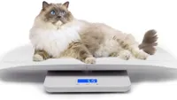 scales for pets