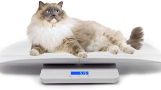 Mindpet-med Digital Pet Scale