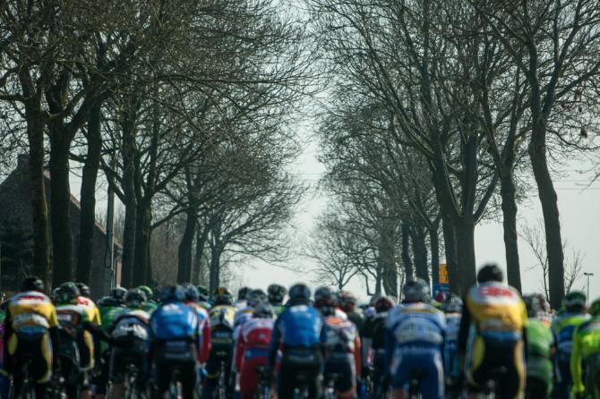 Riders fill up every bit of a tree-lined road.