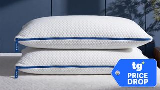 Two Nectar Tri-Comfort Adjustable Memory Foam Pillows on a white mattress