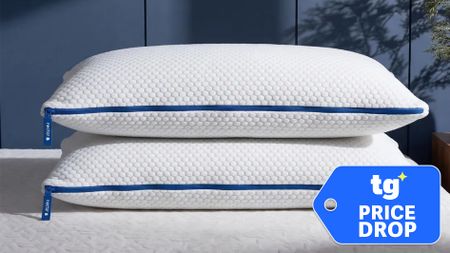 Two Nectar Tri-Comfort Adjustable Memory Foam Pillows on a white mattress