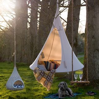 outdoor with hanging hives and blanket with cushions and dog