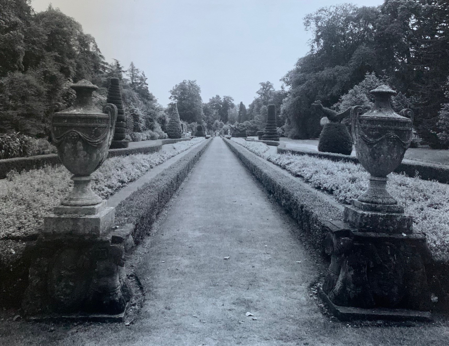 Cliveden&#039;s long garden in 1981: a black and white photo
