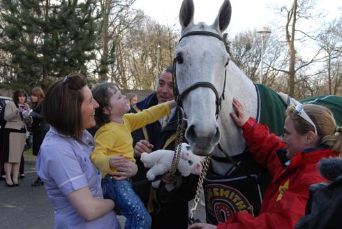 Celebrity status: The graceful grey had a legion of fans