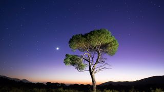 Landscape with the silhouette of an alone solitary tree in a great plain, one night with crepuscular light with the full moon.